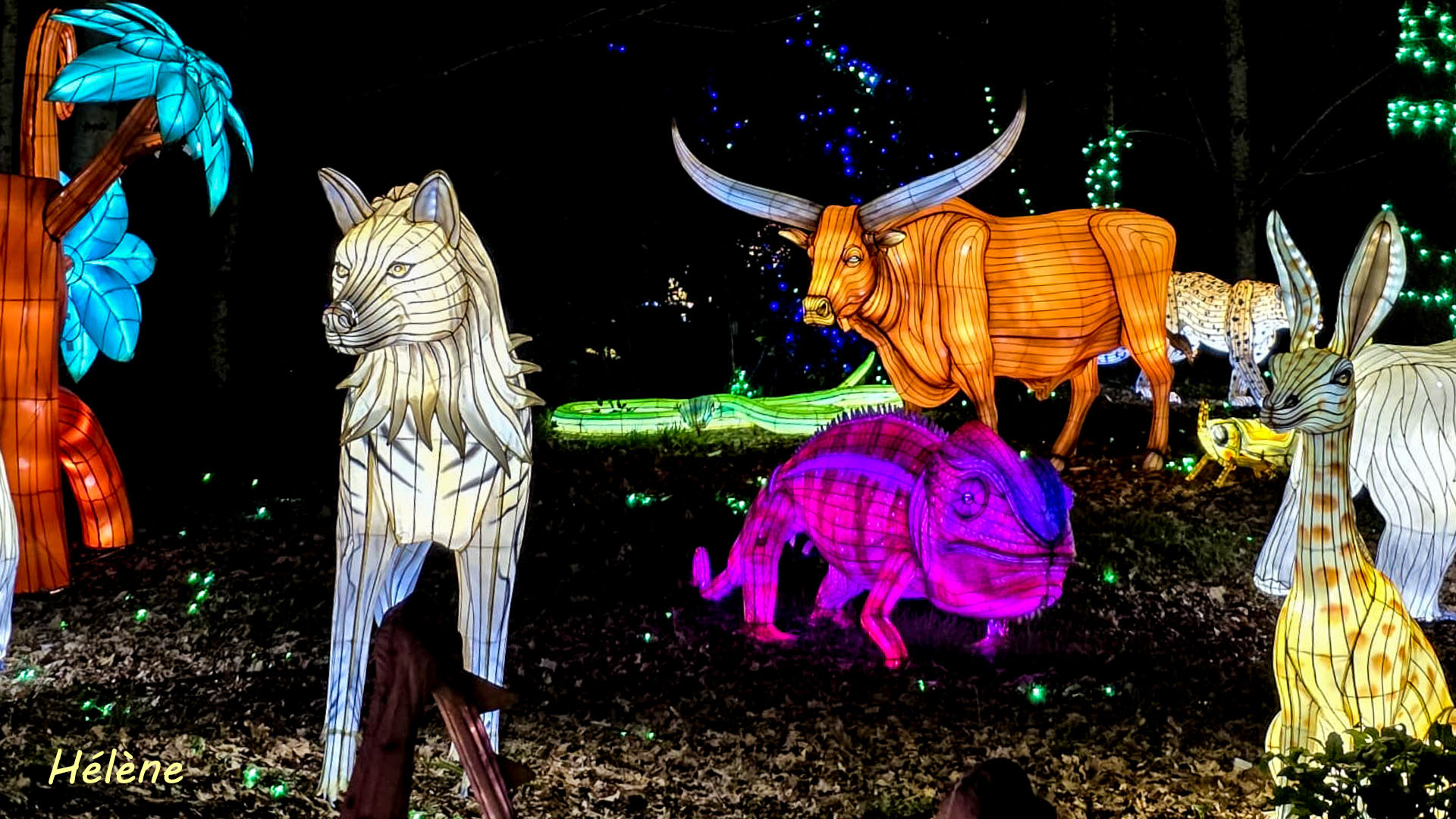 THOIRY -Illumination ,  Lumières sauvages 2025-2026